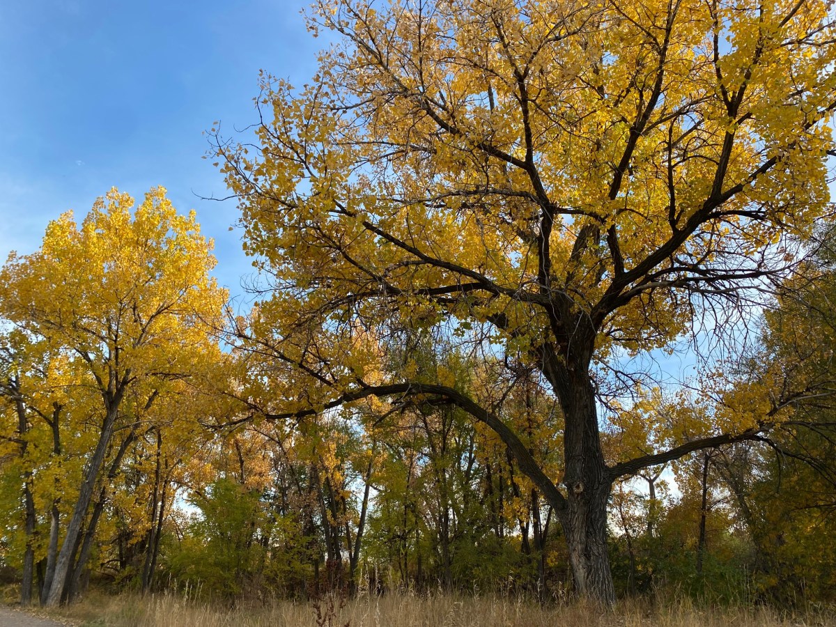 Riding Around Colorado